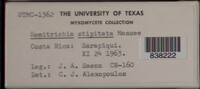Image Associated With the Occurence